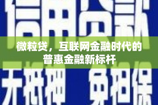 全国微粒贷，互联网金融时代的普惠金融新标杆