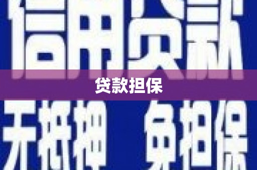 全国贷款担保