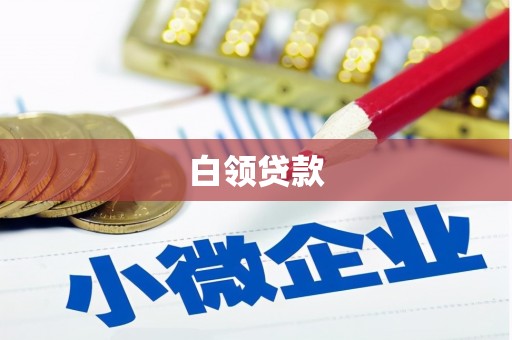 全国白领贷款