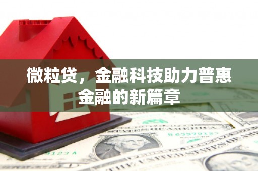 全国微粒贷，金融科技助力普惠金融的新篇章