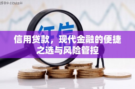 全国信用贷款，现代金融的便捷之选与风险管控