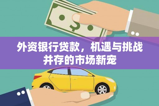 全国外资银行贷款，机遇与挑战并存的市场新宠