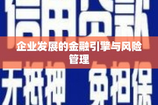 全国企业发展的金融引擎与风险管理