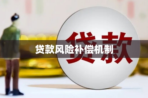 全国贷款风险补偿机制