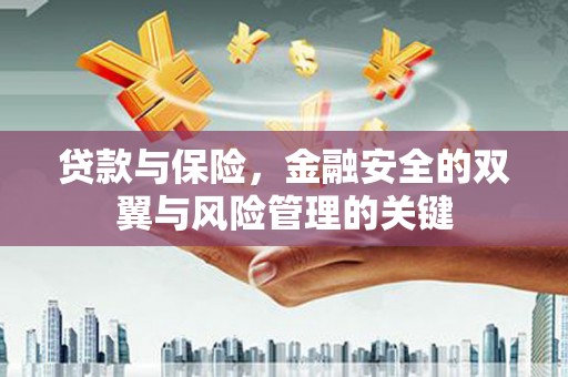 全国贷款与保险，金融安全的双翼与风险管理的关键