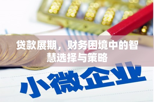 全国贷款展期，财务困境中的智慧选择与策略