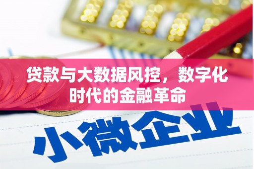 全国贷款与大数据风控，数字化时代的金融革命