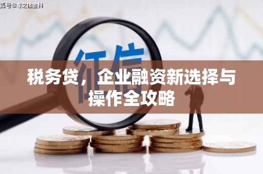 全国税务贷，企业融资新选择与操作全攻略