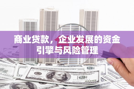 全国商业贷款，企业发展的资金引擎与风险管理