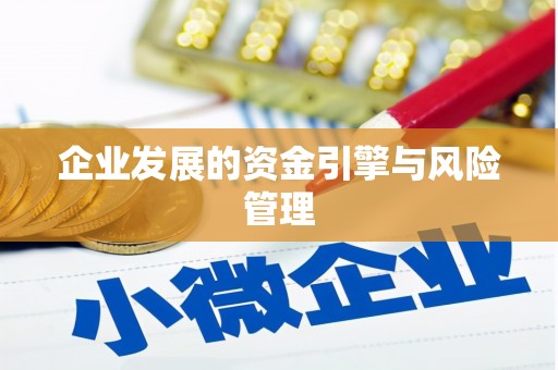 全国企业发展的资金引擎与风险管理