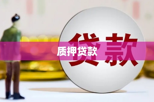 全国质押贷款