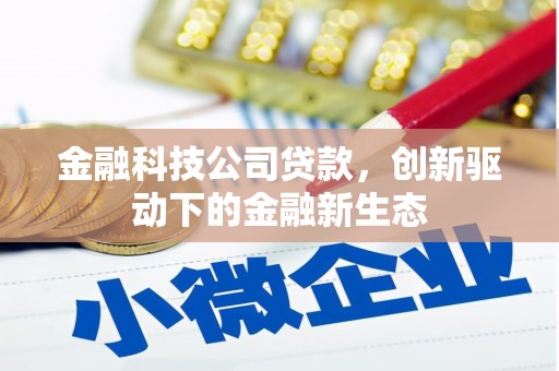 全国金融科技公司贷款，创新驱动下的金融新生态