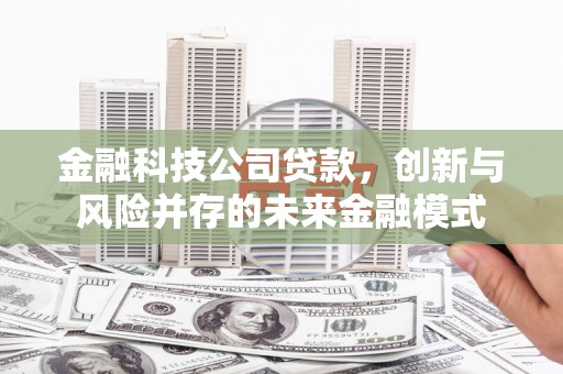 全国金融科技公司贷款，创新与风险并存的未来金融模式