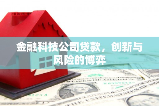 全国金融科技公司贷款，创新与风险的博弈