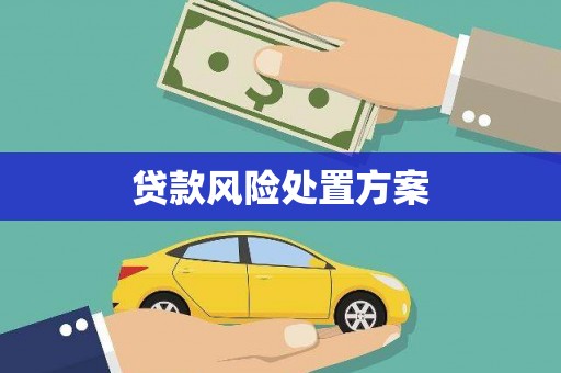 全国贷款风险处置方案