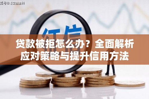 全国贷款被拒怎么办？全面解析应对策略与提升信用方法