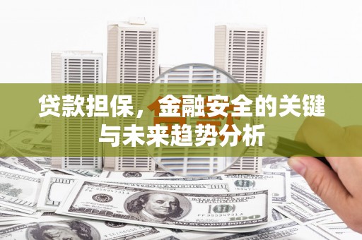 全国贷款担保，金融安全的关键与未来趋势分析