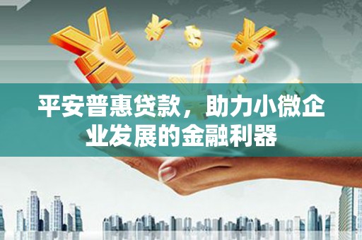 全国平安普惠贷款，助力小微企业发展的金融利器