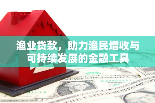 全国渔业贷款，助力渔民增收与可持续发展的金融工具