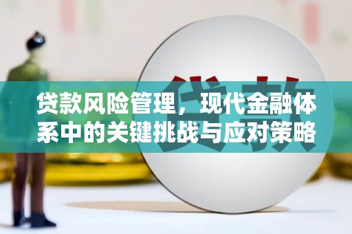 全国贷款风险管理，现代金融体系中的关键挑战与应对策略