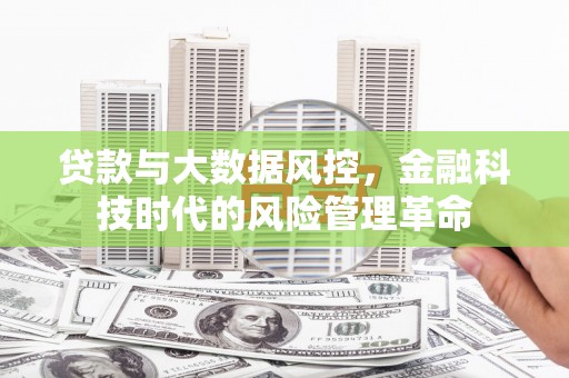 全国贷款与大数据风控，金融科技时代的风险管理革命