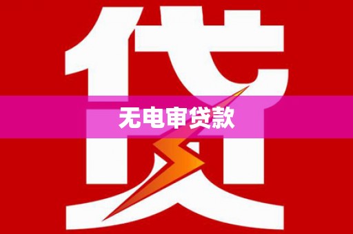 全国无电审贷款