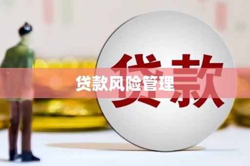 全国贷款风险管理