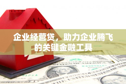 全国企业经营贷，助力企业腾飞的关键金融工具