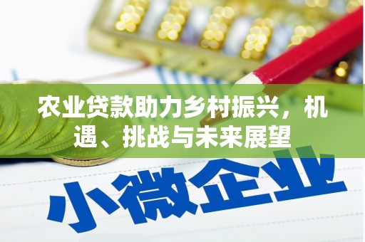全国农业贷款助力乡村振兴，机遇、挑战与未来展望