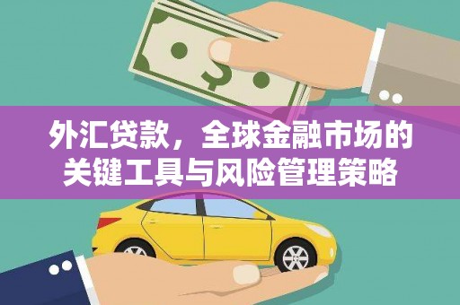 全国外汇贷款，全球金融市场的关键工具与风险管理策略