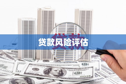 全国贷款风险评估