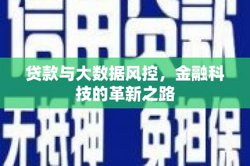 全国贷款与大数据风控，金融科技的革新之路