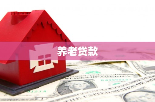 全国养老贷款
