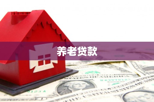 全国养老贷款