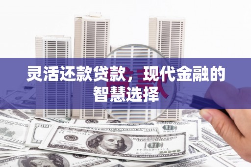 全国灵活还款贷款，现代金融的智慧选择