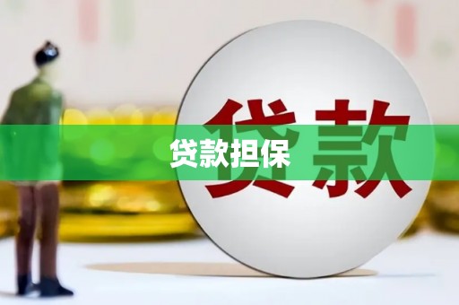 全国贷款担保