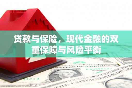 全国贷款与保险，现代金融的双重保障与风险平衡