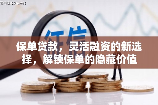 全国保单贷款，灵活融资的新选择，解锁保单的隐藏价值