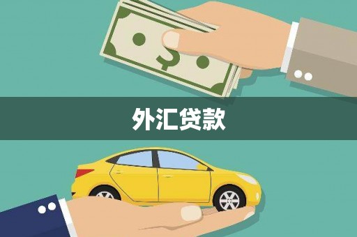 全国外汇贷款