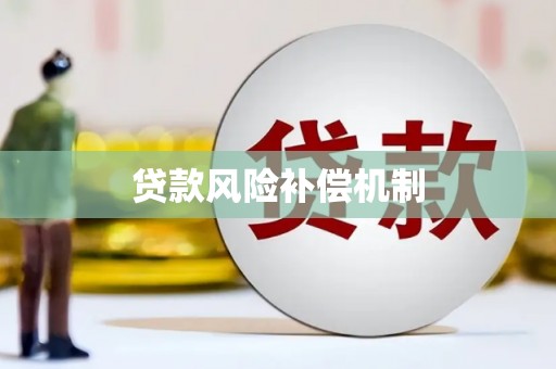 全国贷款风险补偿机制