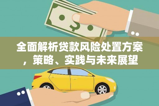 全国全面解析贷款风险处置方案，策略、实践与未来展望