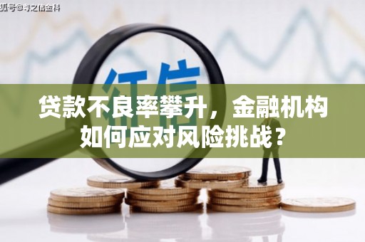 全国贷款不良率攀升，金融机构如何应对风险挑战？