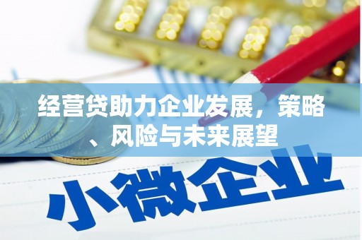全国经营贷助力企业发展，策略、风险与未来展望