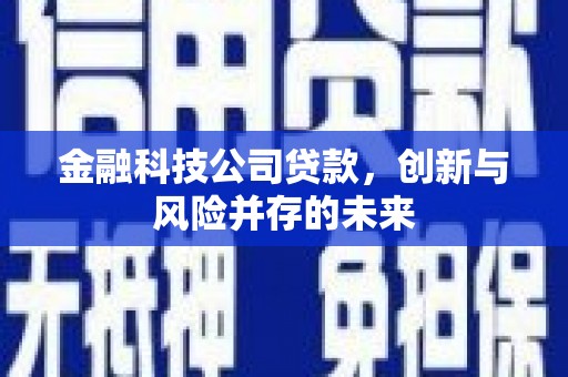全国金融科技公司贷款，创新与风险并存的未来
