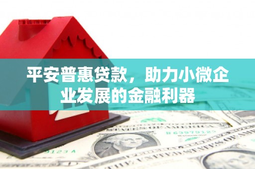 全国平安普惠贷款，助力小微企业发展的金融利器