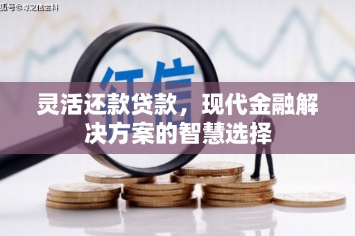 全国灵活还款贷款，现代金融解决方案的智慧选择
