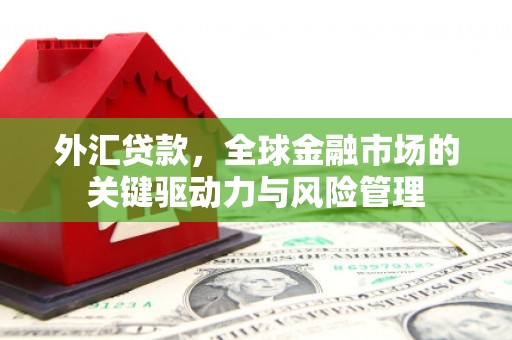 全国外汇贷款，全球金融市场的关键驱动力与风险管理