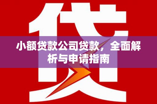 全国小额贷款公司贷款，全面解析与申请指南