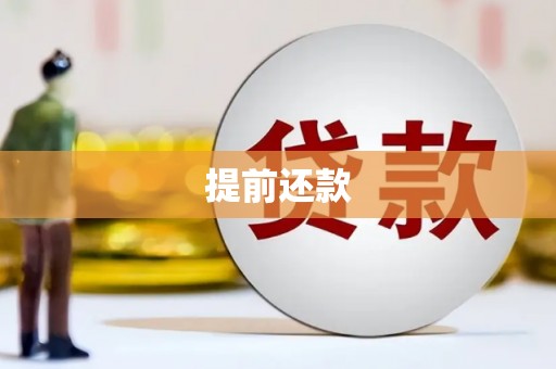 全国提前还款