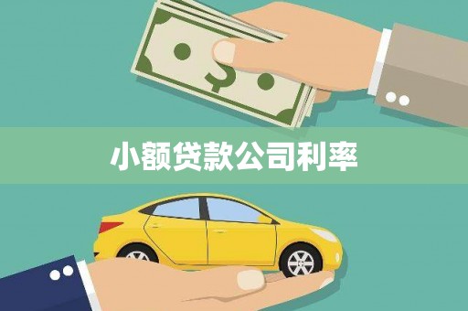 全国小额贷款公司利率